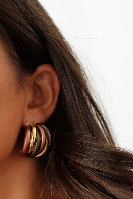 Natural Earth-Tone Earings