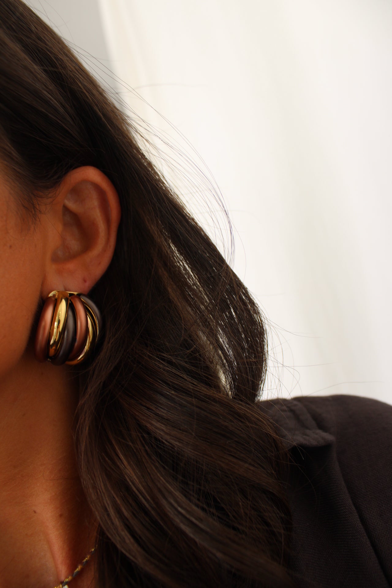 Natural Earth-Tone Earings