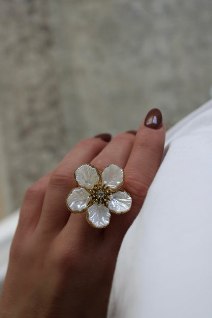 Stainless Steel Rings